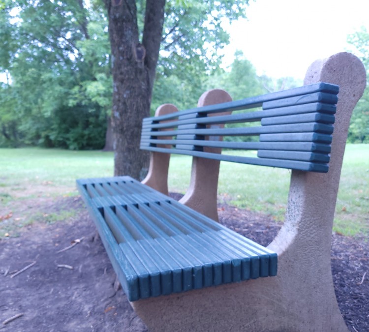 park-bench-photo